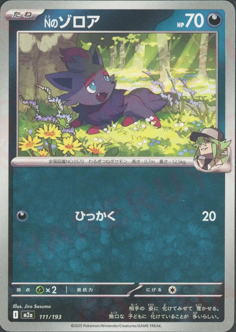 Nのゾロア(-){悪}〈111/193〉[M2a]