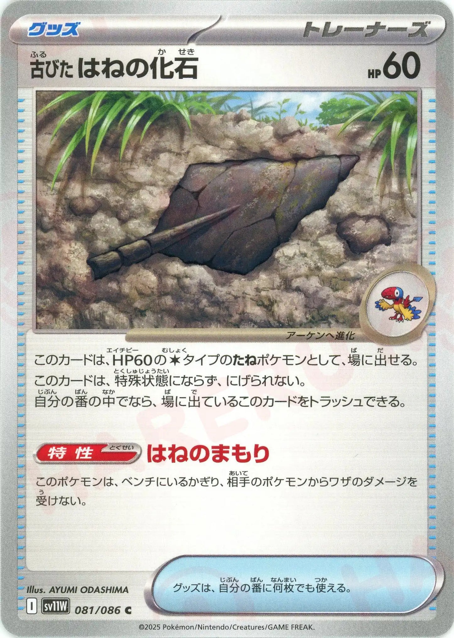古びたはねの化石(C){グッズ}〈081/086〉[SV11W]